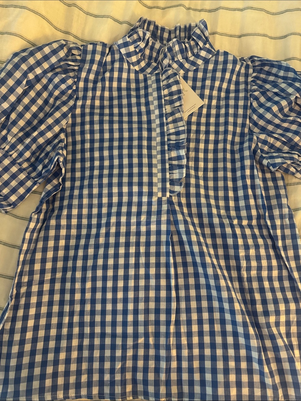 Blue and White Gingham Ruffle-Neck Blouse
